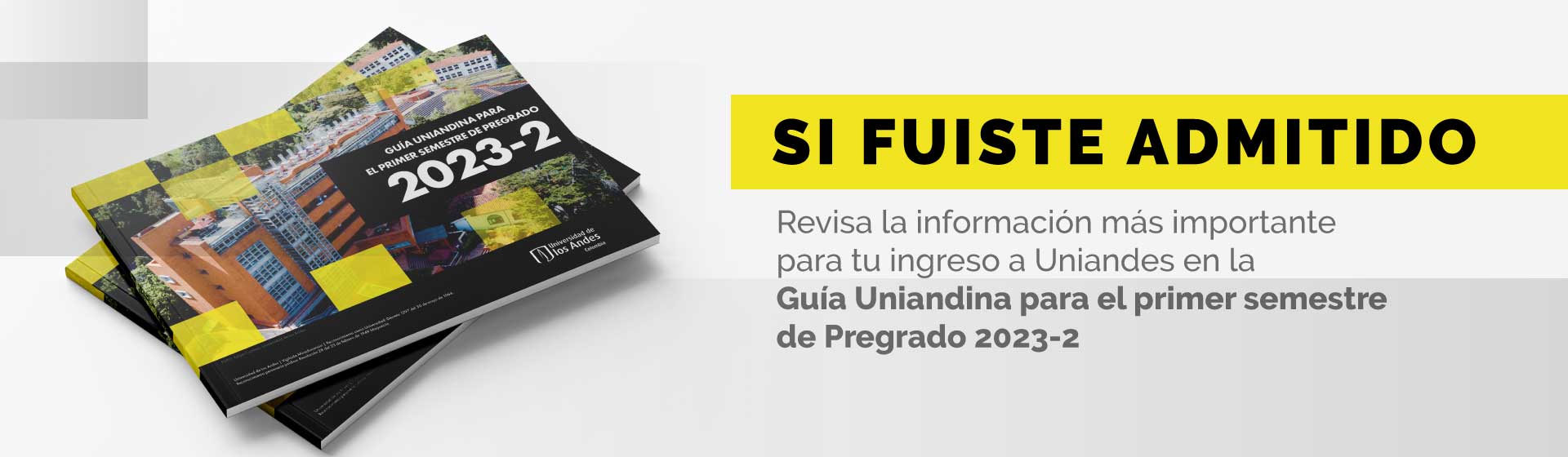 Guia Uniandina 2023-2 Pregrado